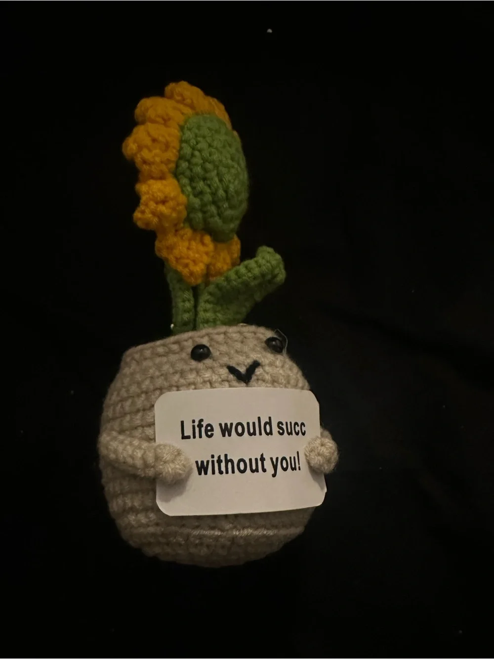 Handmade Beige & Yellow Crochet Succulent Key/ Card Holder